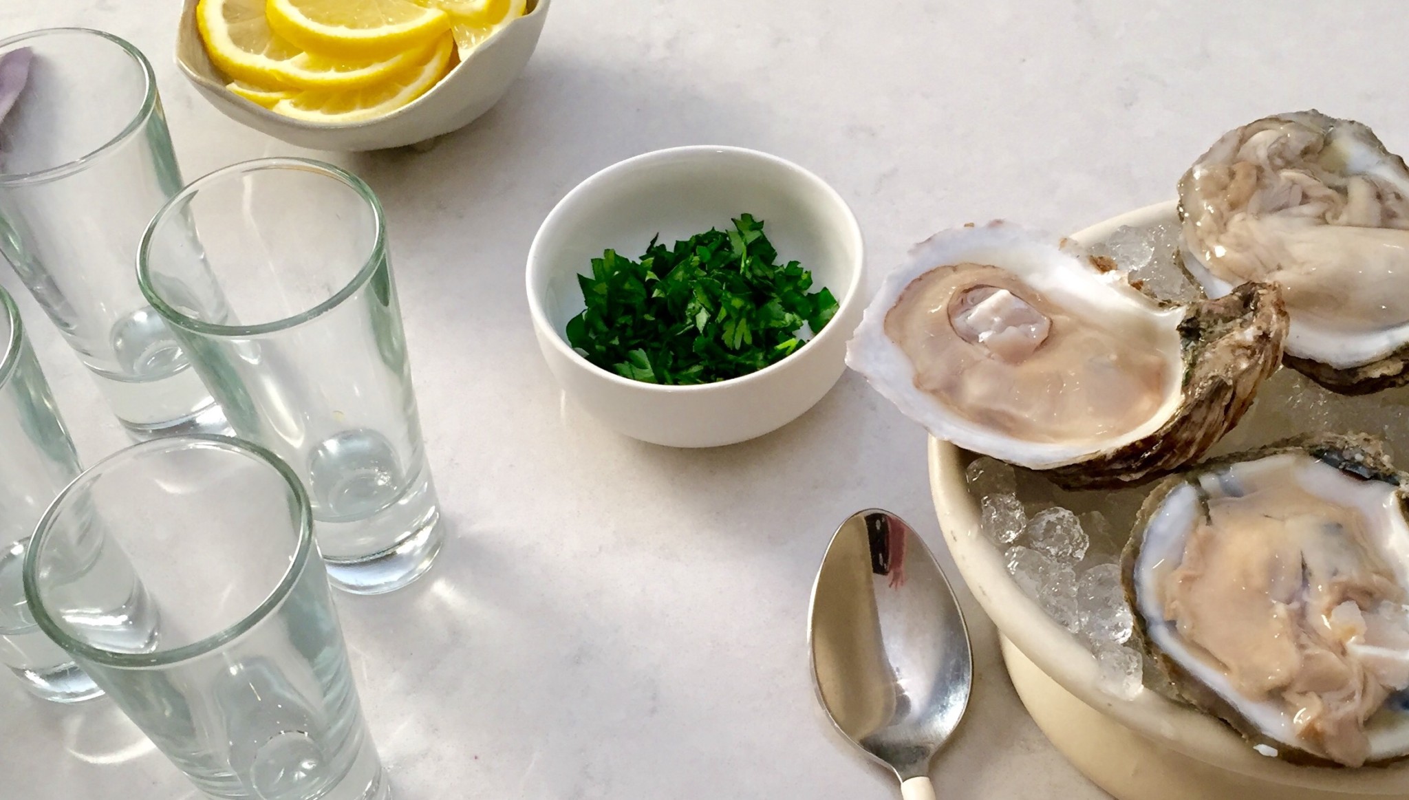 gin and tonic oyster shooters