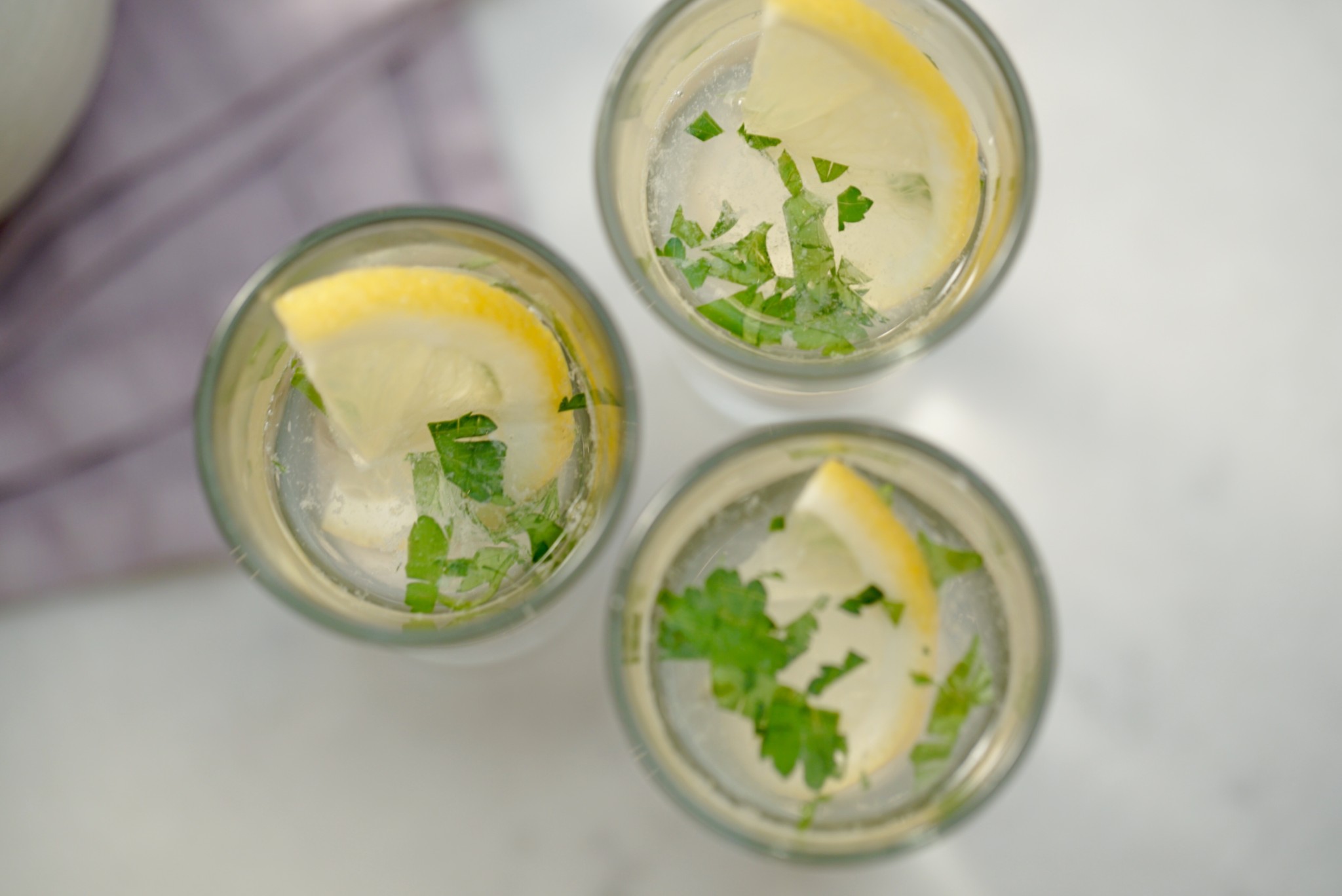 gin and tonic oyster shooters