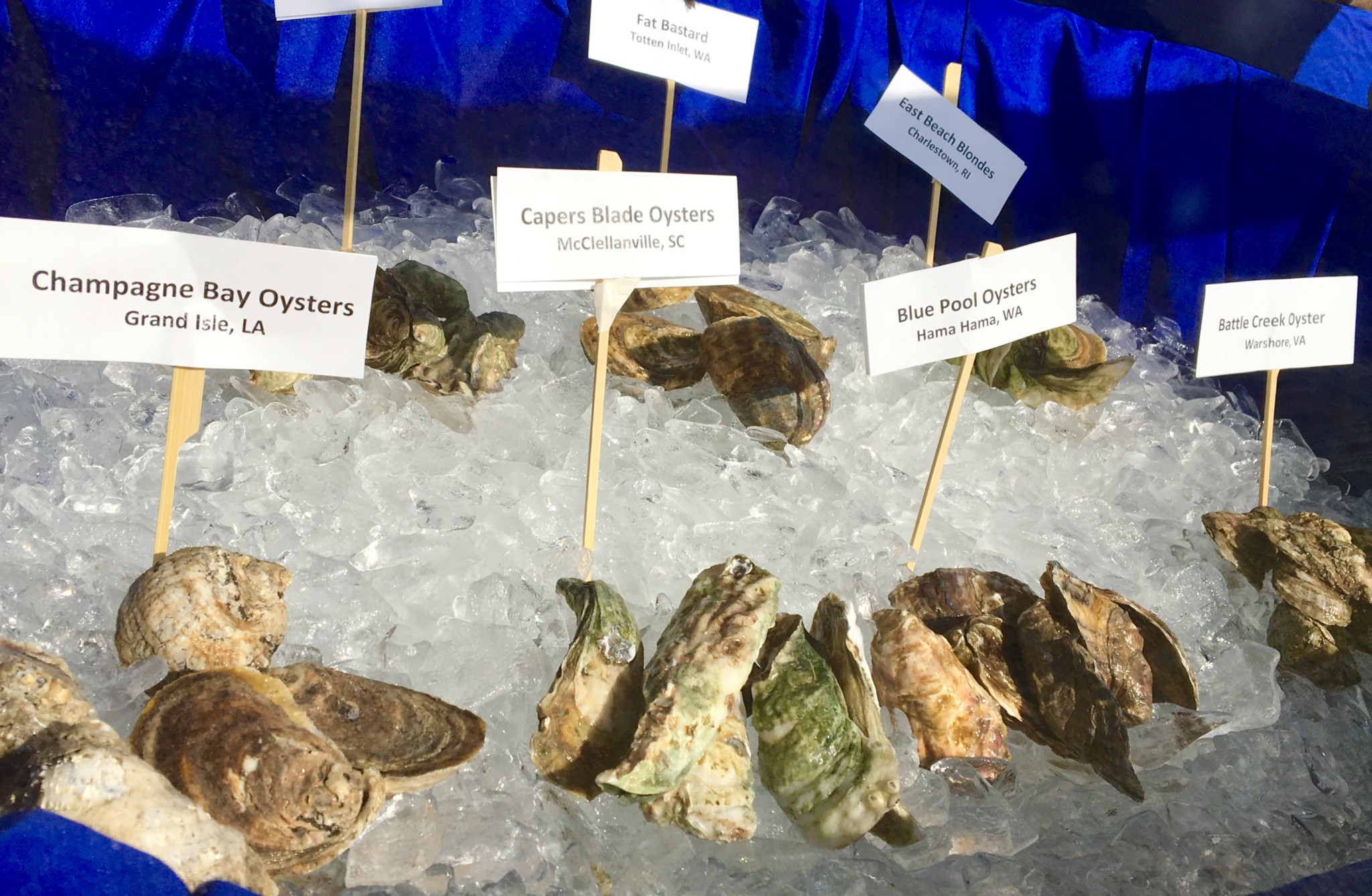 A few of the North American Oyster Showcase participants