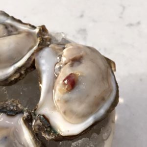 Freshly shucked oyster with pea crab