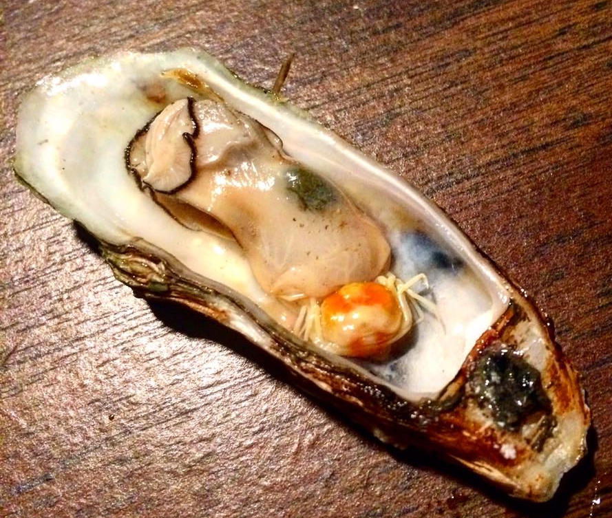 oyster pea crab
